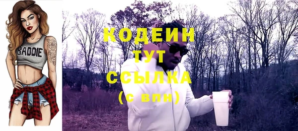 дживик Вяземский