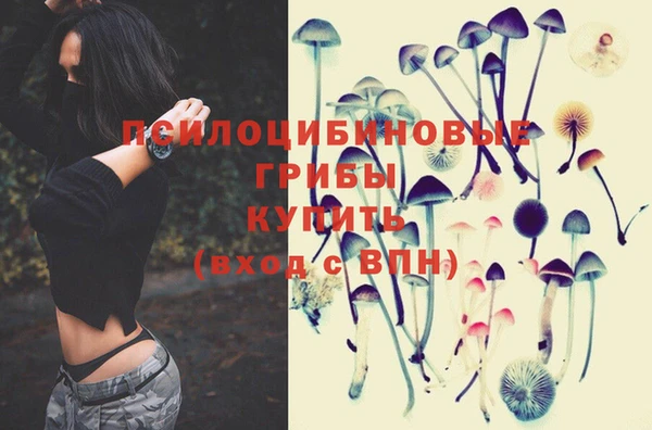 дурь Вязники