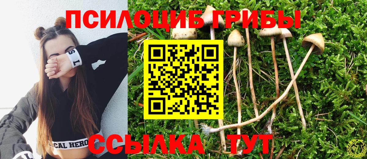 Псилоцибиновые грибы MAGIC MUSHROOMS Елец